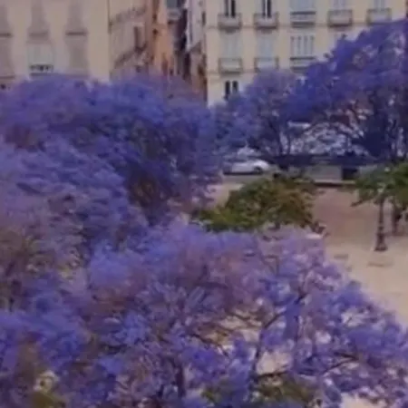 Apartment Apartamento—centro Parking Gratis Grupos Malaga